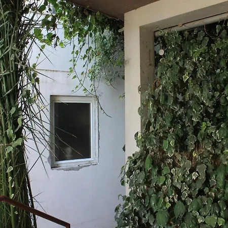 6596b * Podgora (Split-Dalmatia)